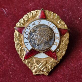 Vojenský Odznak Vzorný voják (bílé mezikruží)