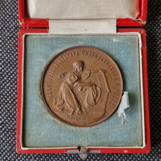 Bronzová medaile – Národopisná výstava českoslovanská v Praze 1895, v originální etui I. B. Pichl